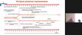 COOMET Webinar_Kelvin_27.04.2023